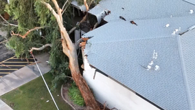 Center opens for microburst victims still without gas, A/C