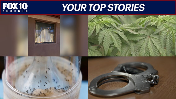 Marijuana recall in Arizona; suspects in deadly shooting arrested | Nightly Roundup