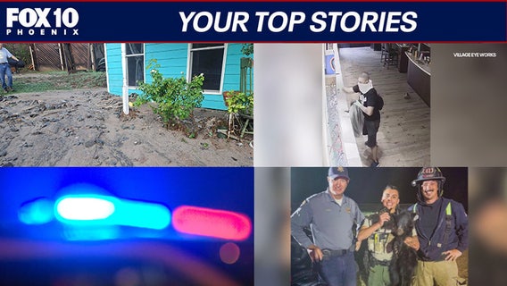 Eyeglass shop robbed blind, violence at Halloween parties | Nightly Roundup