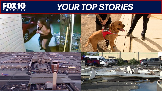 Tempe microburst aftermath; service dog stolen in Mesa | Nightly Roundup