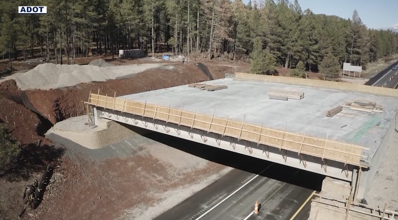 Arizona overpass will carry animals over I-17, prevent crashes