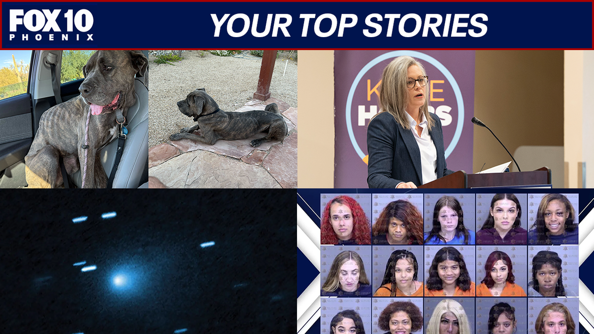 Arizona SNAP benefits restored; a dog's story of survival | Nightly Roundup