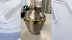 Urn with ashes inside found on side of road in Buckeye: PD