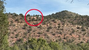 Husband, wife unharmed in plane crash near Cathedral Rock: sheriff