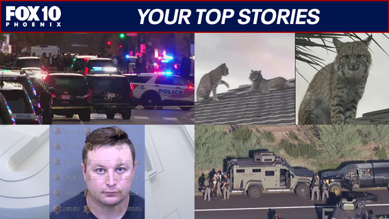 US 60 death investigation update; bobcats hangout on Scottsdale roof | Nightly Roundup
