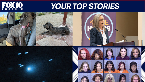 Arizona SNAP benefits restored; a dog's story of survival | Nightly Roundup