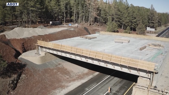 Arizona overpass will carry animals over I-17, prevent crashes