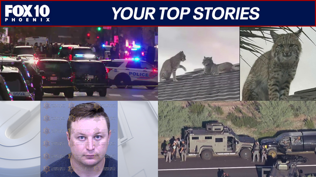 US 60 death investigation update; bobcats hangout on Scottsdale roof | Nightly Roundup