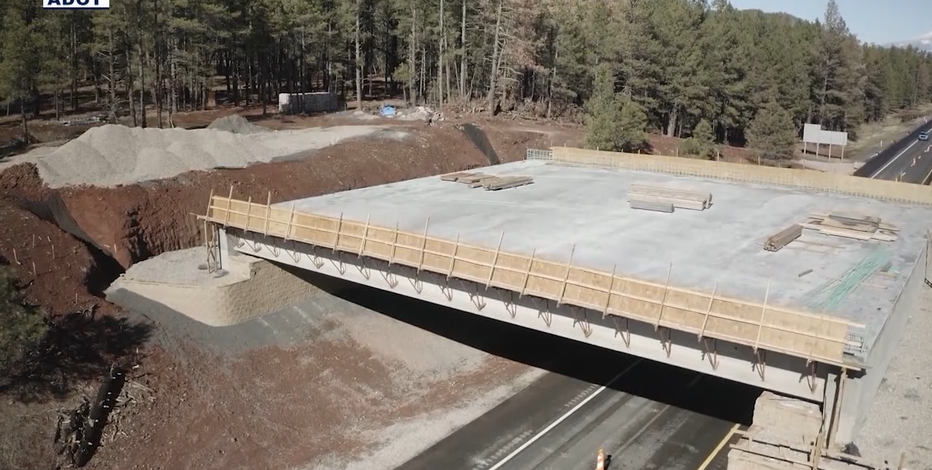 Arizona overpass will carry animals over I-17, prevent crashes
