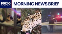 Hit-and-run suspect spotted inside bar before deadly crash; new jaguar documented in AZ l Morning News Brief