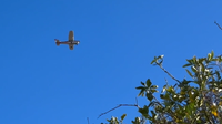 Mesa residents push back of increased air traffic noise at Falcon Field