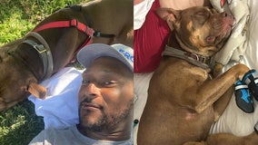 Mesa officer shoots, kills dog in park as unhoused owner slept nearby