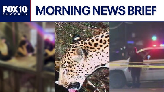 Hit-and-run suspect spotted inside bar before deadly crash; new jaguar documented in AZ l Morning News Brief