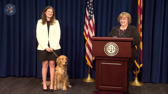 Meet Coco: MCAO’s newest K-9 victim advocate for emotional support