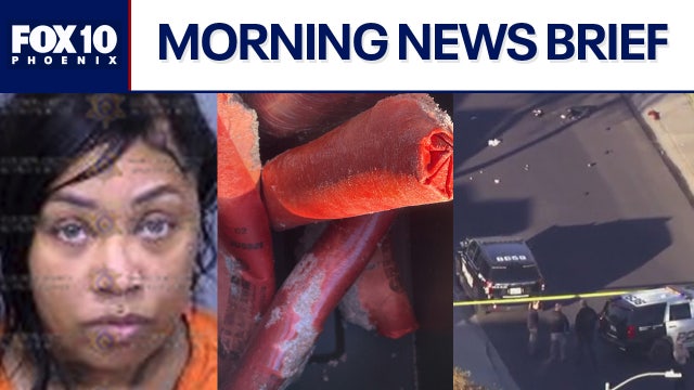 AZ mom allegedly used her kids to shoplift; dynamite found inside car in East Valley l Morning News Brief