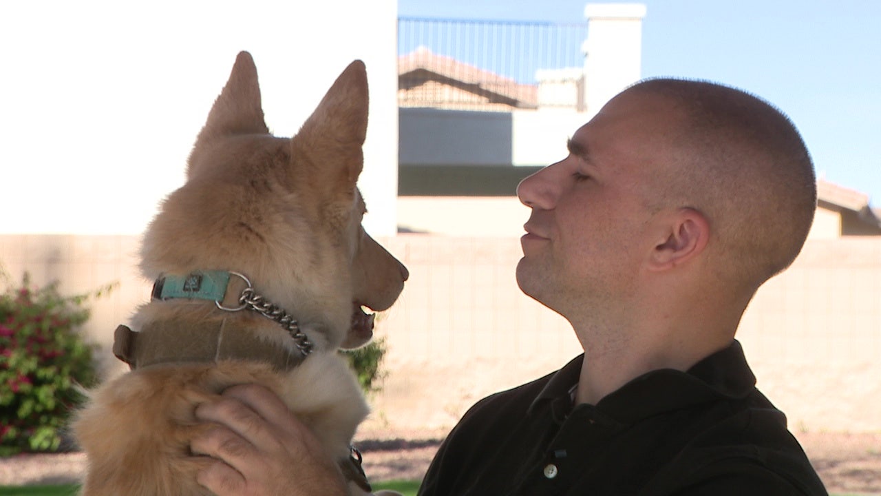 AI helps Surprise man reunite with his missing dog