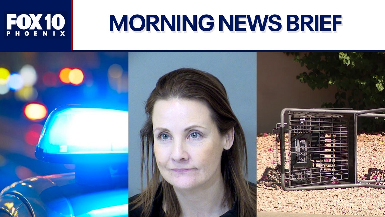 April McLaughlin latest; Woman killed in overnight shooting | Morning News Brief