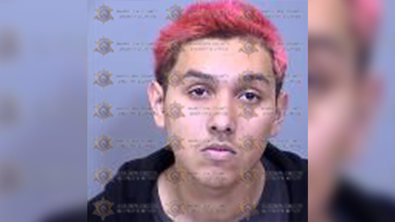 18-year-old accused of killing man and living in his home afterwards: Phoenix PD