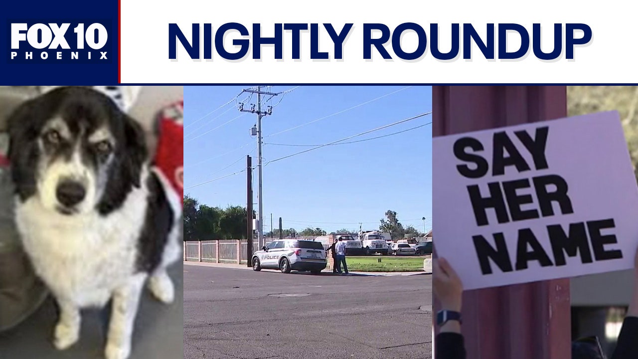 Dead dog, suspected DUI crash involving teen prompts investigations | Nightly Roundup
