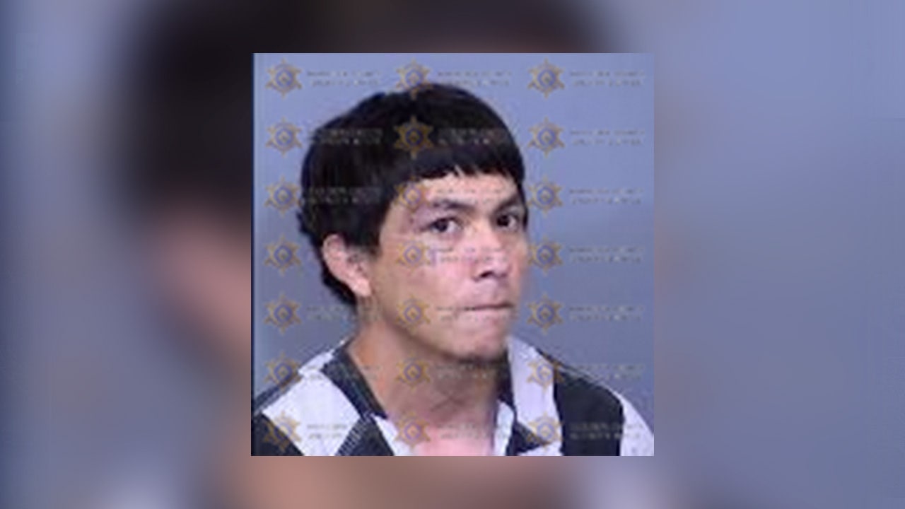 Man throws rocks at Mesa officers during SWAT standoff after alleged assault on mom: police