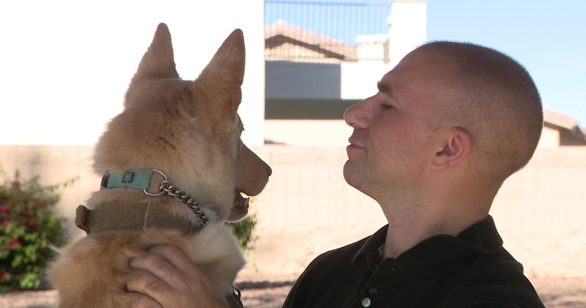 AI helps Surprise man reunite with his missing dog | FOX 10 Phoenix
