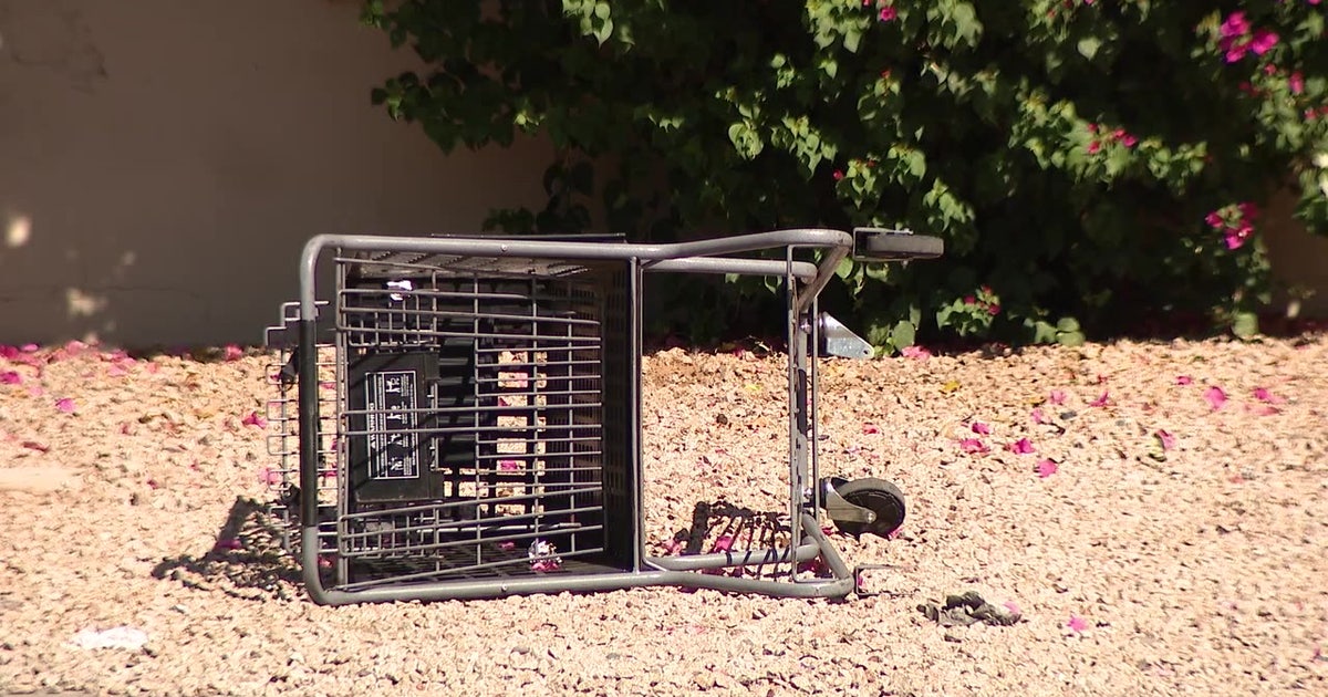 Phoenix cracks down on abandoned shopping carts as part of new ordinance