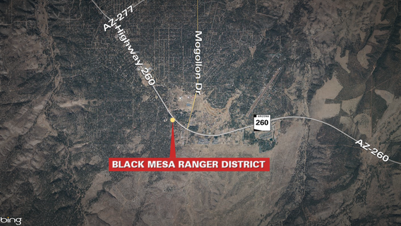 9 horses shot in Arizona forests; investigators looking for tips