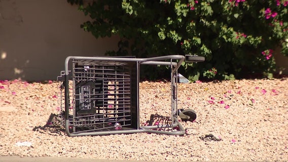 Phoenix cracks down on abandoned shopping carts as part of new ordinance