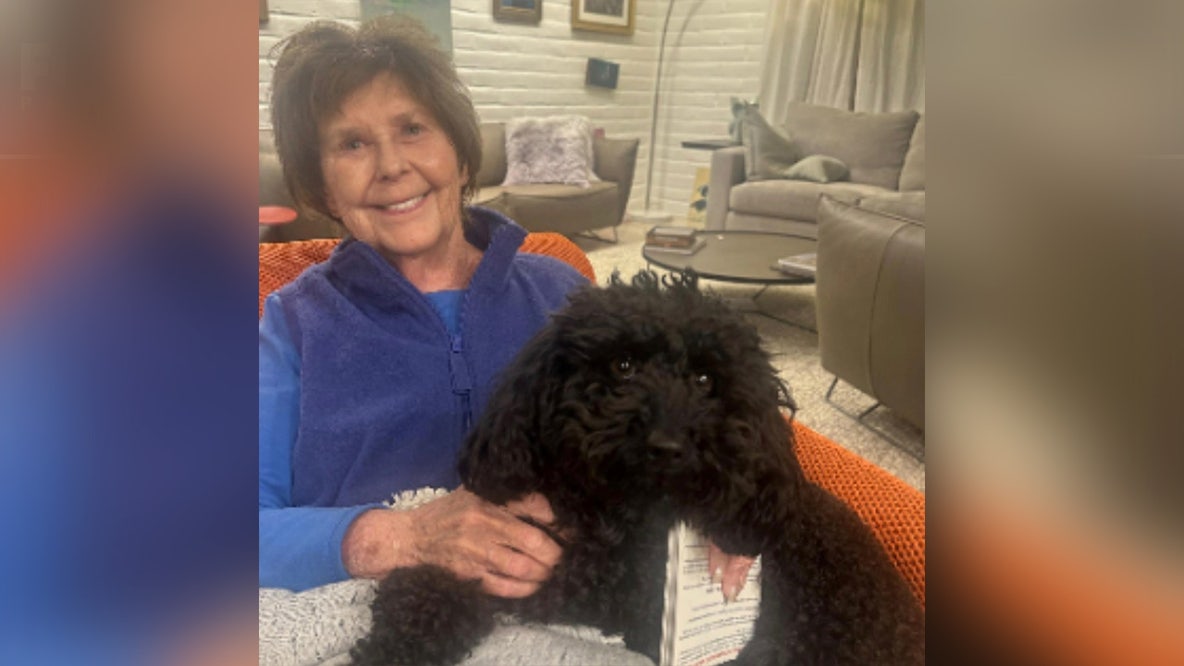 Nancy Guthrie disappearance: Day 3 latest updates