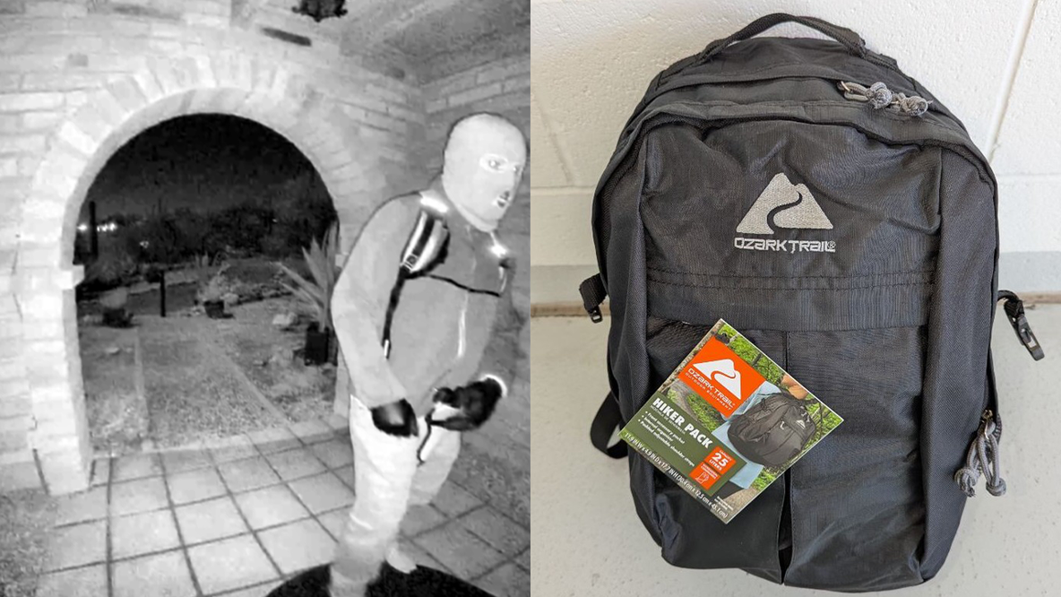 Nancy Guthrie: FBI gives suspect description