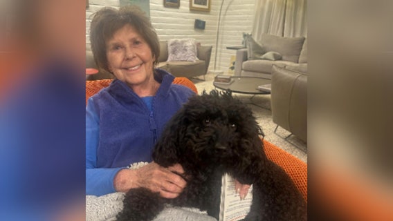 Nancy Guthrie disappearance: Day 3 latest updates