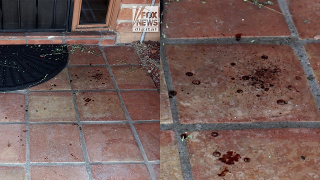 Nancy Guthrie disappearance: Day 10 latest updates