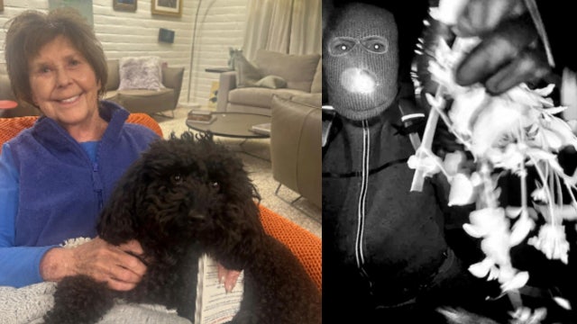 Nancy Guthrie disappearance: Day 24 latest updates