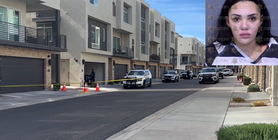 Mother, daughter argument ends in stabbing in Scottsdale