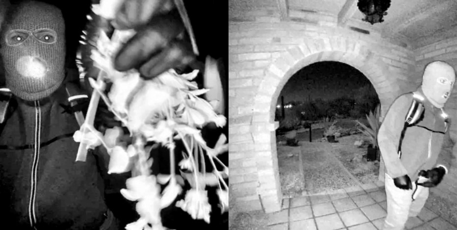 Nancy Guthrie: PCSD releases newly recovered photos