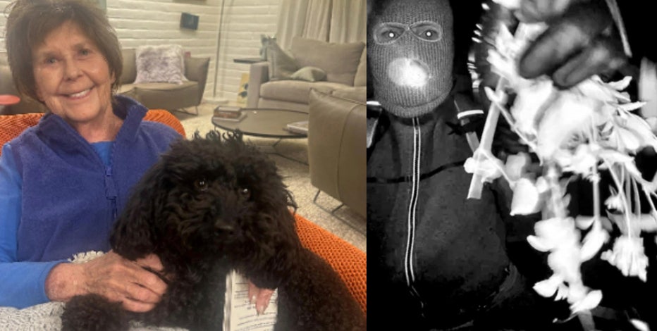 Nancy Guthrie disappearance: Day 24 latest updates