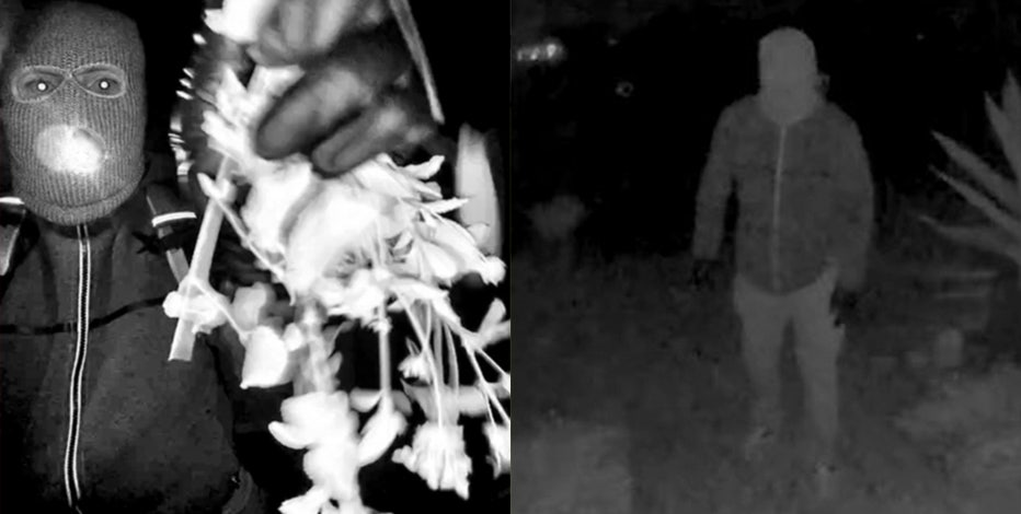 'Purely speculative': Sheriff addresses rumors over doorbell images in Nancy Guthrie case