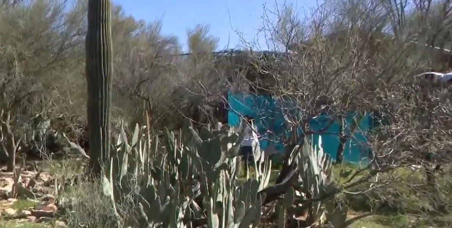 Nancy Guthrie: Sheriff issues warning as community takes search into their own hands