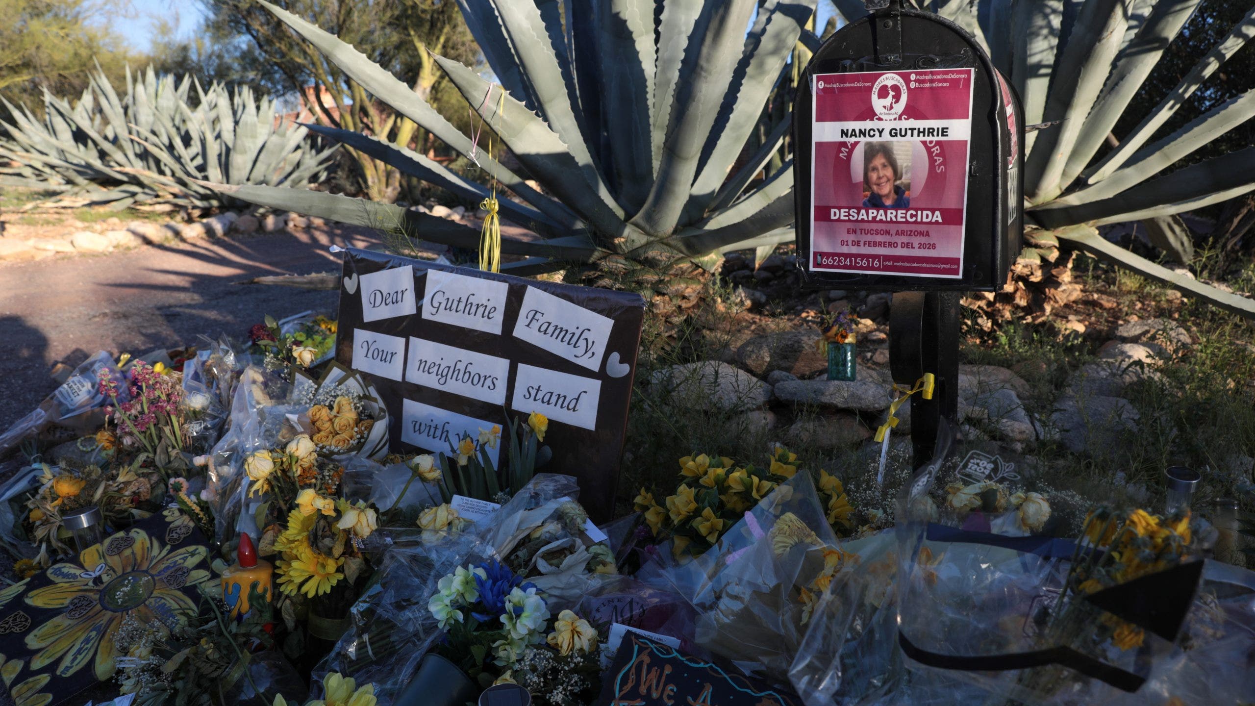 Nancy Guthrie disappearance: Day 39 latest updates