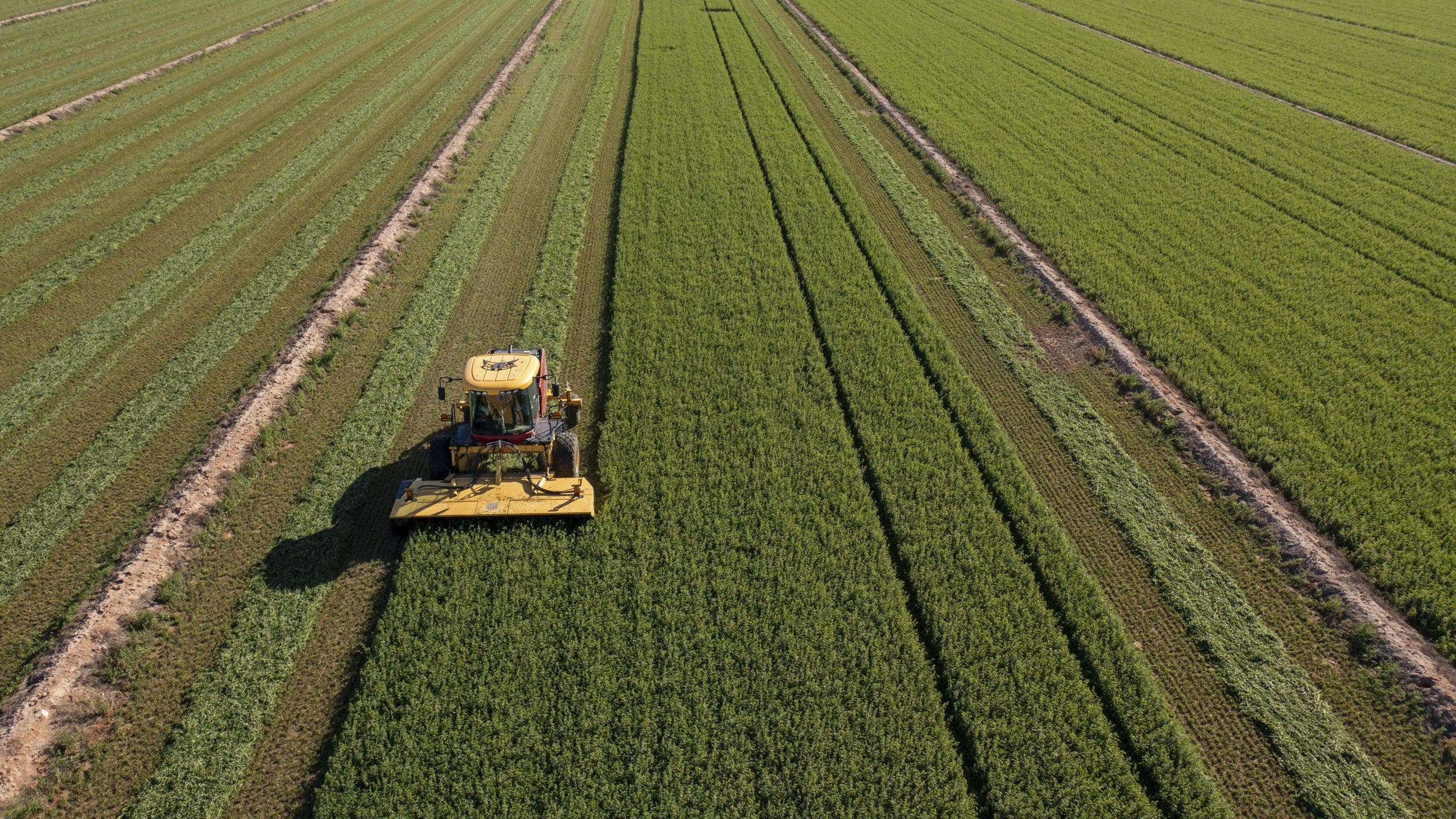 Arizona farmers still waiting on federal aid amid tariffs, rising costs
