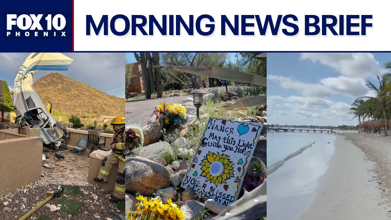 Plane crashes into home and backyard; Nancy Guthrie latest l Morning News Brief