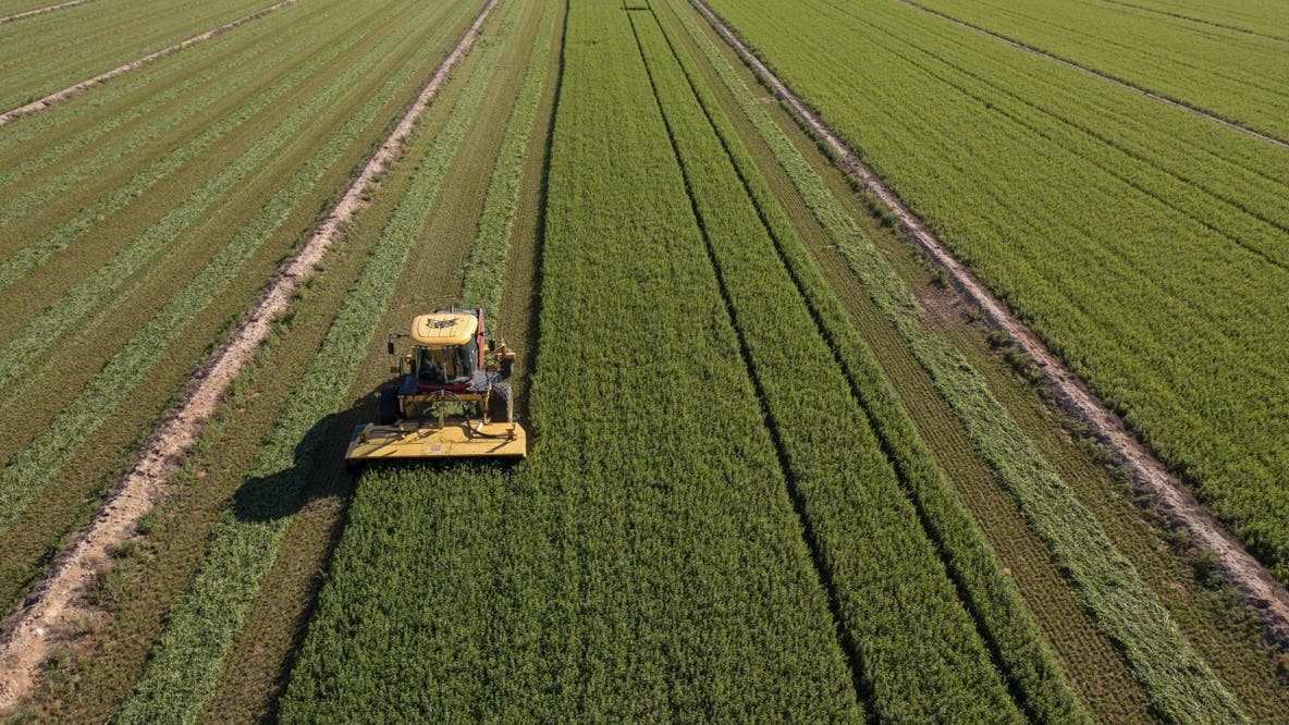 Arizona farmers dealing with hard times