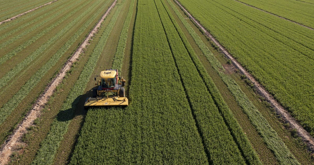Arizona farmers dealing with hard times