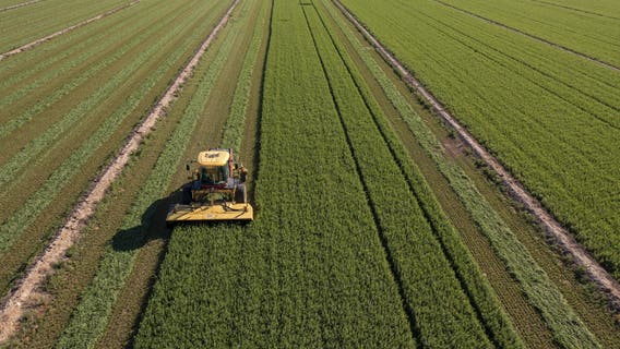 Arizona farmers still waiting on federal aid amid tariffs, rising costs