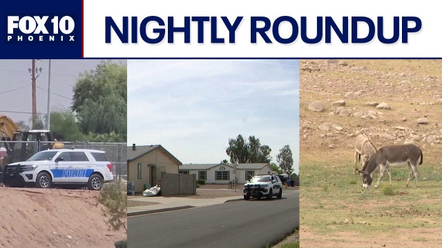 Scottsdale canal victim ID'd; wild burro population to be cut l Nightly Roundup