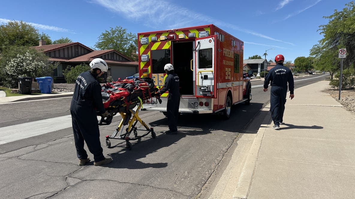 Man stung by bees more than 100 times while hiking Phoenix trail