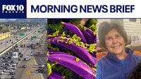 Mom arrested in I-17 crash that killed her daughter; the plague confirmed in Arizona l Morning News Brief