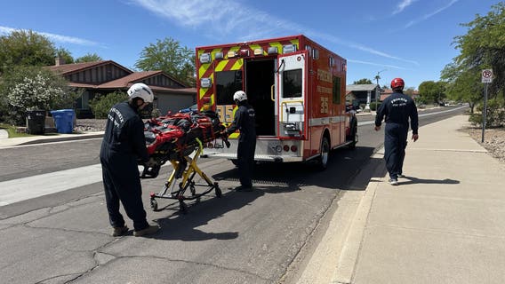 Man stung by bees more than 100 times while hiking Phoenix trail