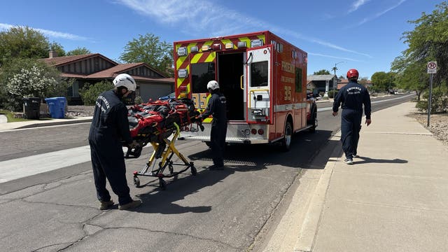 Man stung by bees more than 100 times while hiking Phoenix trail