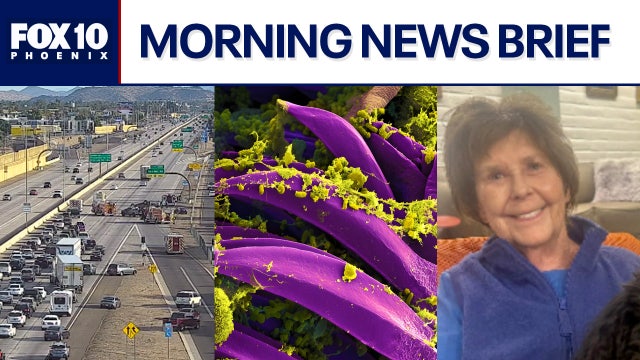 Mom arrested in I-17 crash that killed her daughter; the plague confirmed in Arizona l Morning News Brief